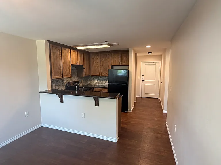 305 W Willis St #202 — Photo 11