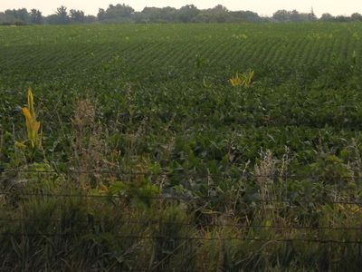 180th Ave, Keswick, IA, 50136