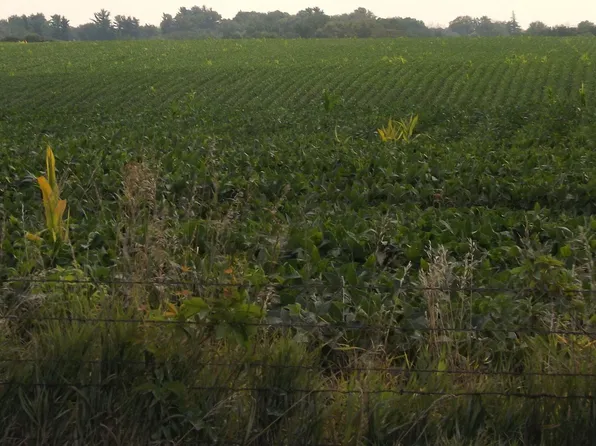 180th Ave, Keswick, IA 50136