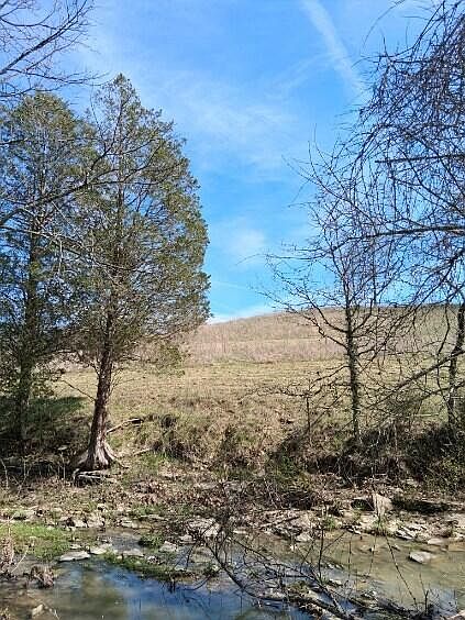 1st image of 105 Scaffold Lick Creek Rd