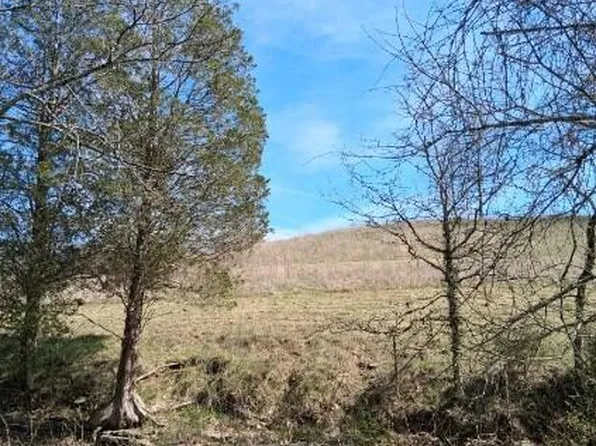 105 Scaffold Lick Creek Rd, Berry, KY 41003