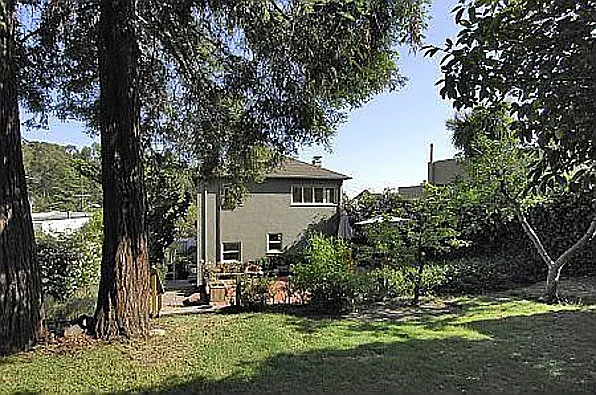 Backyard, redwood trees, apple tree, pear tree, peach tree