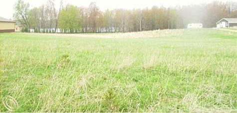 vacant horton lake 001.jpg