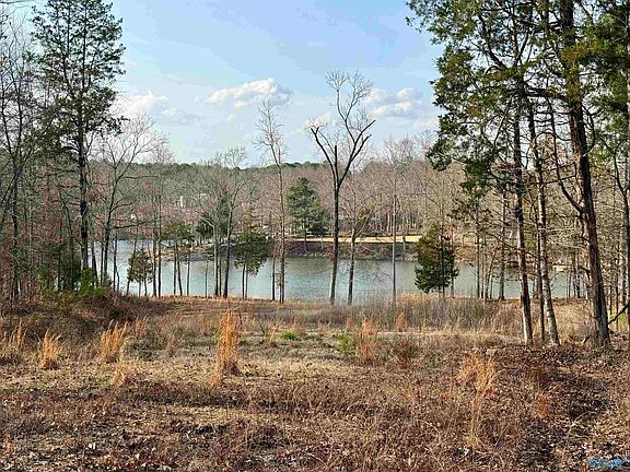 3rd image of 1.48 River Cliff Dr