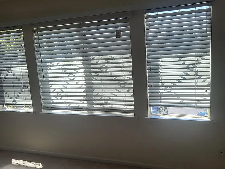 5049 Pine Lake Ct — Photo 39