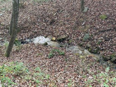 268 Ed Jenkins Rd, Bryson City, NC, 28713