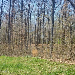 136 Tumbleweed Trl, Rutledge, TN, 37861