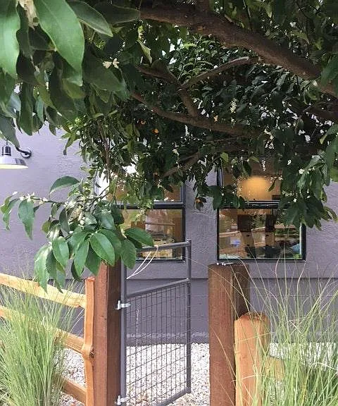 Gated Entry to Terrace