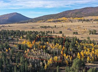 2244 Singletree Rd, Hartsel, CO 80449