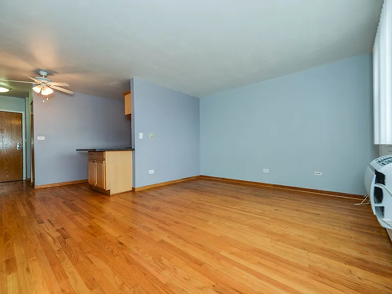 4600 N Cumberland Ave #509 — Photo 6