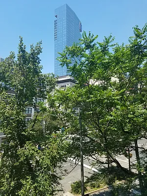 Rented by Keller Williams NYC | media 38