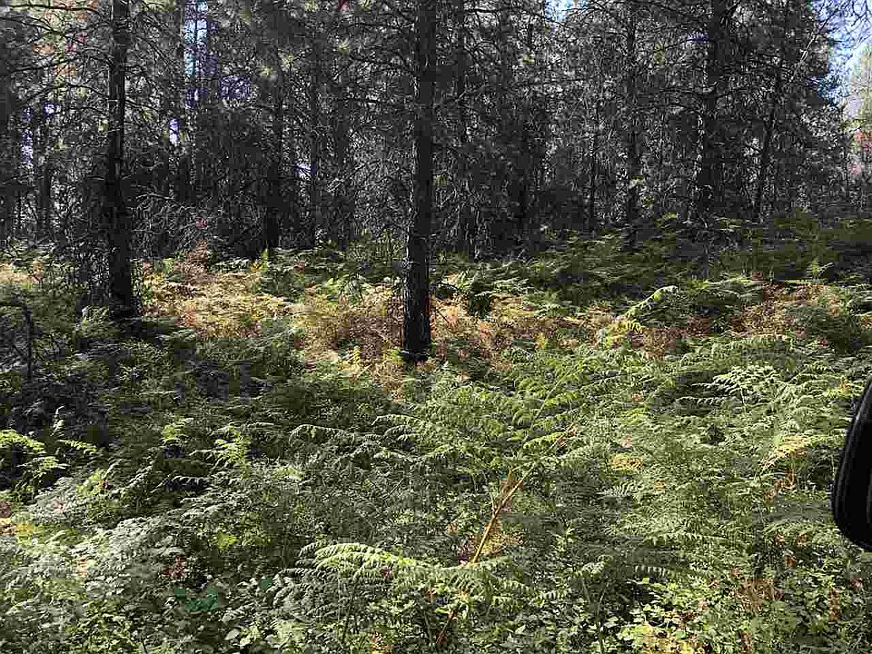 2nd image of 182 Frost Loop