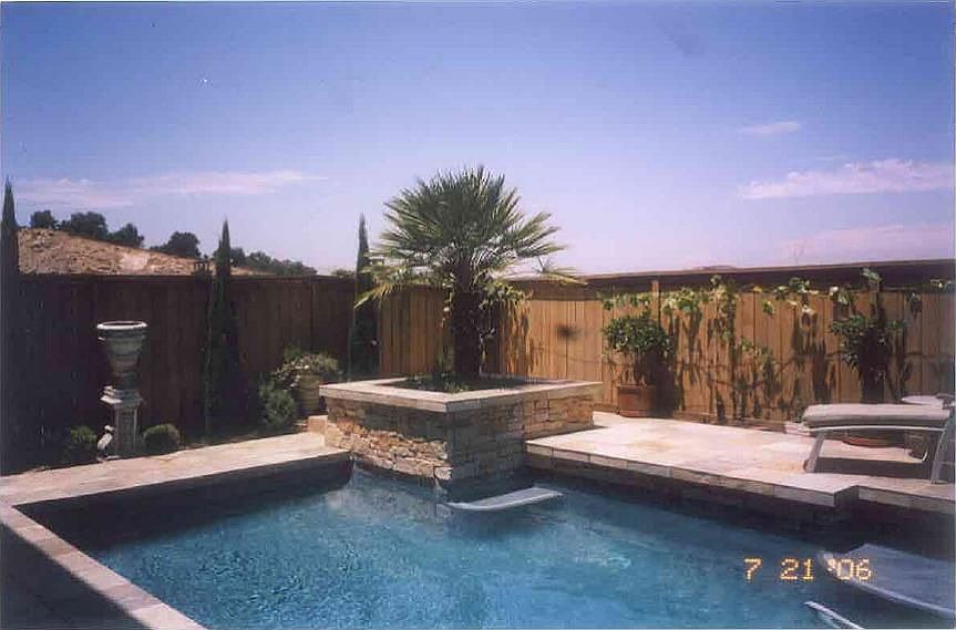 Pool and 1 of 3 palm trees