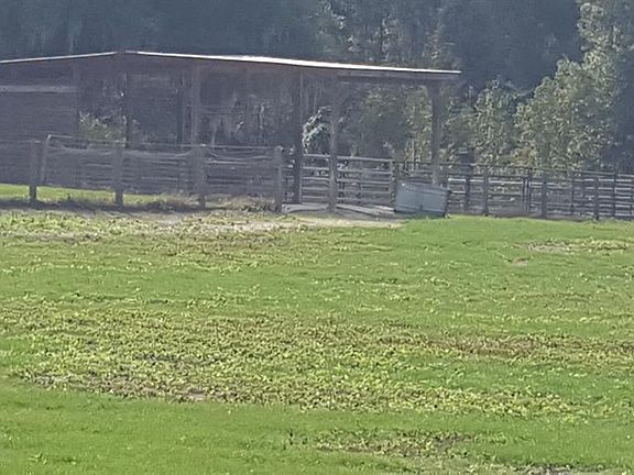 5th image of 16542 N Highway 329