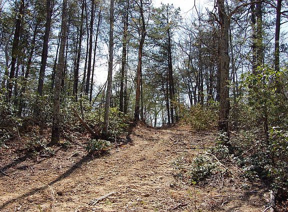 2nd image of Lot 361 Hickory Nut Lane