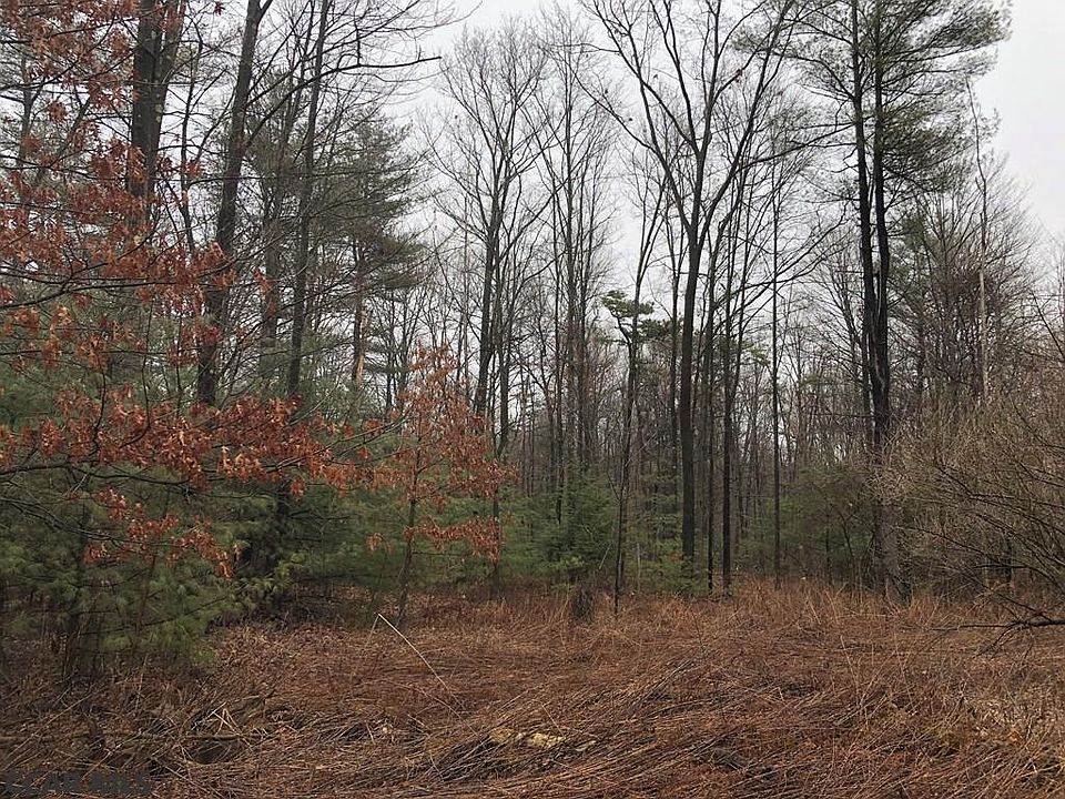 2nd image of On Bear Hill Rd