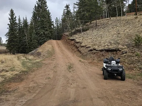 1398 Pathfinder Rd, Florissant, CO 80816