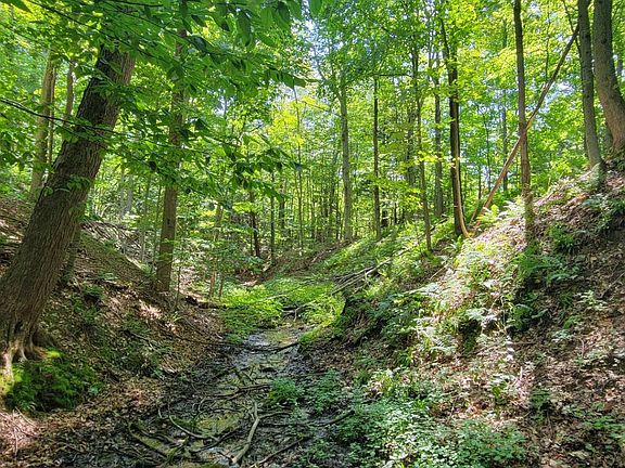5th image of Sanford Rd