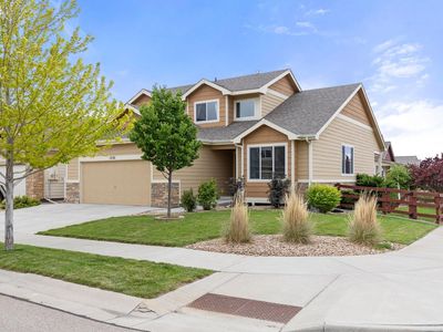 1531 New Season Dr, Windsor, CO, 80550