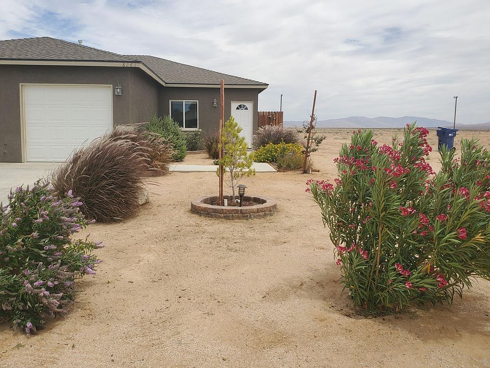 Healthy front yard softscape.