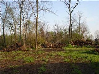 2nd image of 5910 Mills Rd