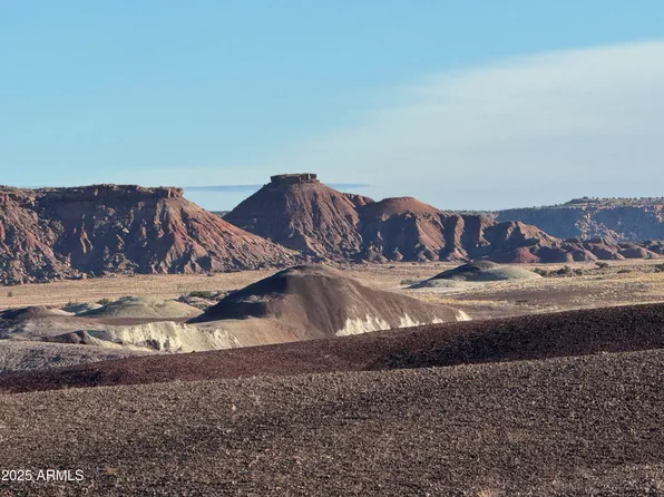 Lot #35 Bonito Valley Ranch -- #35, St Johns, AZ 85936