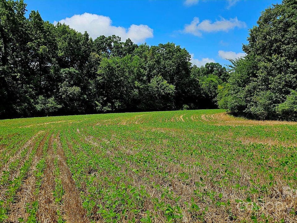 2nd image of 1486 Pork Rd