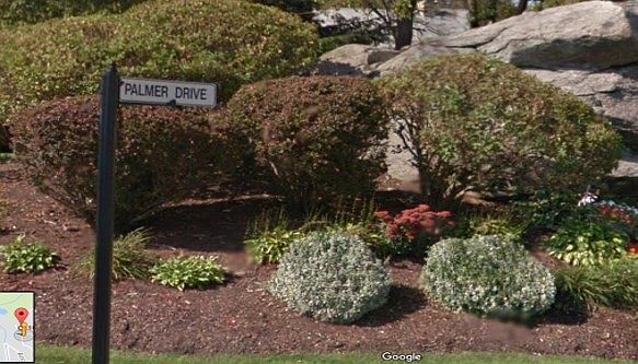 Palmer Drive