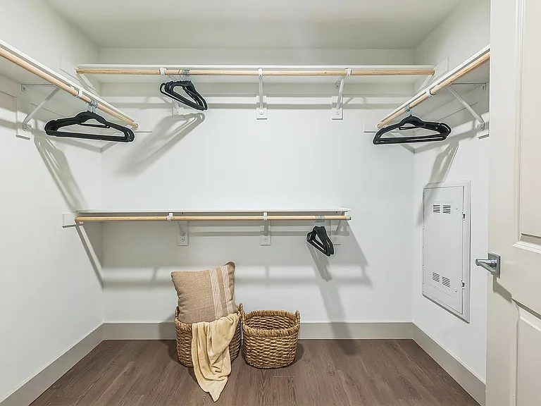Spacious walk-in closet with plenty of shelving