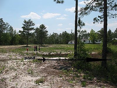 Looking toward Pond, home
