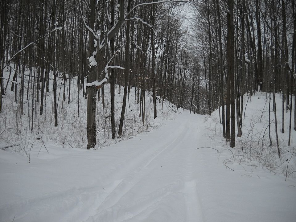 2nd image of Big Fill Rd