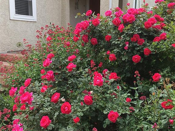 4th image of 2002 W Ridge Road