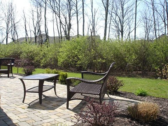 Incredible wooded view