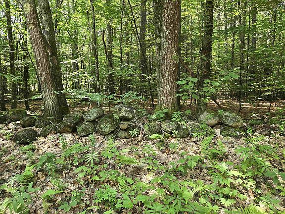 3rd image of Lot 26 Davis Hill Road