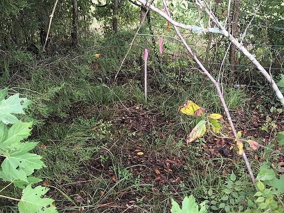 2nd image of 16 Willow Creek Cv NE Lot 16