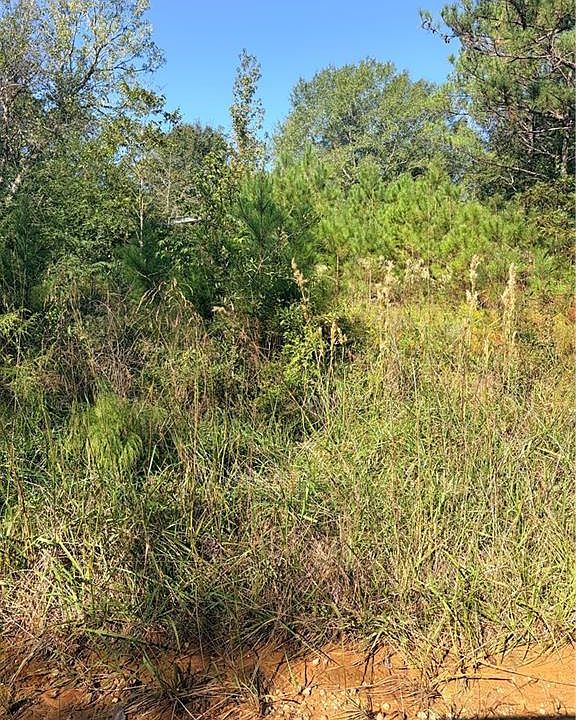 1st image of 0 McCall Rd
