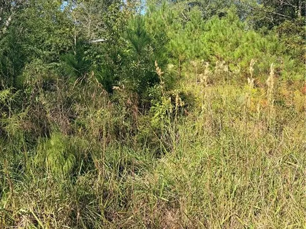 0 McCall Rd, Clayton, AL 36016