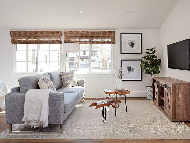 Luxurious Studio with ample sunlight and privacy.