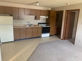 228 E Main St APT 5, Blooming Prairie, MN 55917