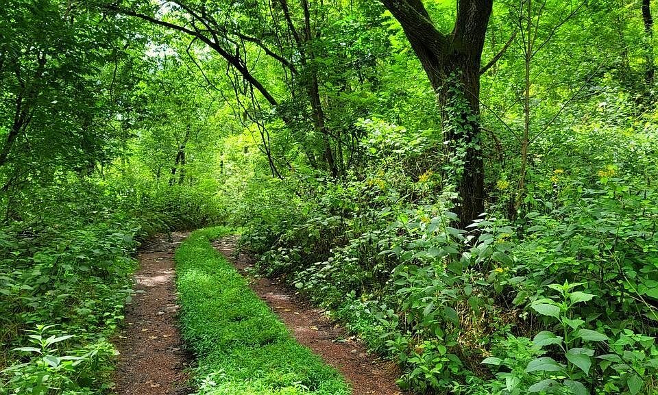 4843 Stanaford Rd, Danese, WV 25831 MLS 81546 Zillow