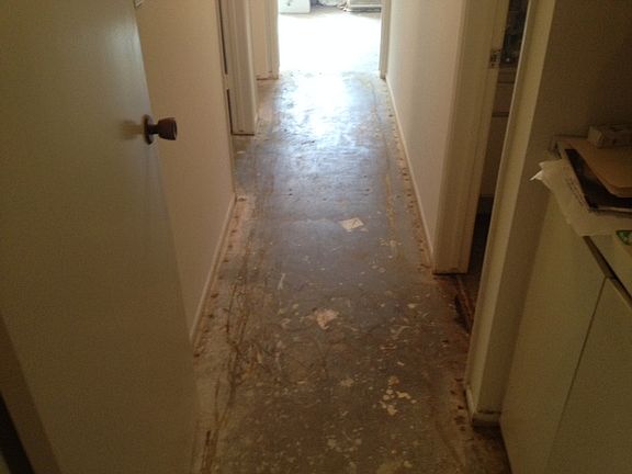 3rd image of 5950 Canterbury Dr APT C101
