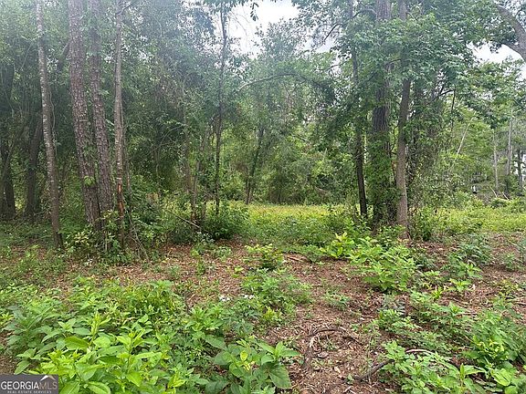 4th image of 26 Cypress Lake Dr