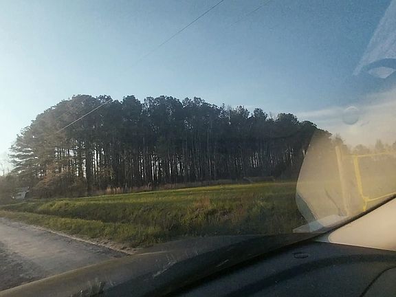 3rd image of 1AA Davis Lane