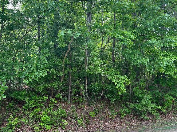 5th image of Lot 9 & 10 Fawn Court