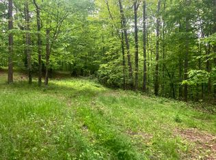 1180 Little Trace Run Rd, Exchange, WV 26619