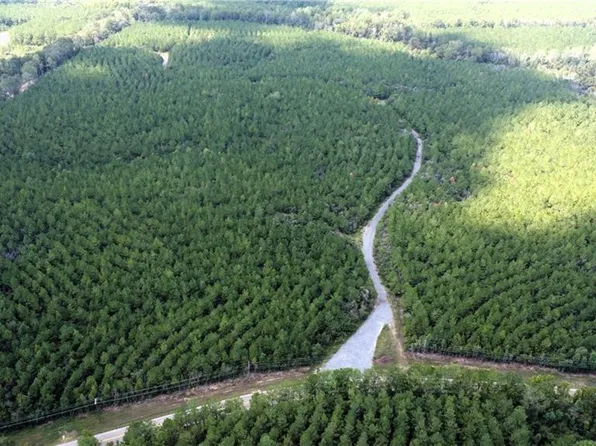 165 Acres Highway Hwy #450, Franklinton, LA 70438