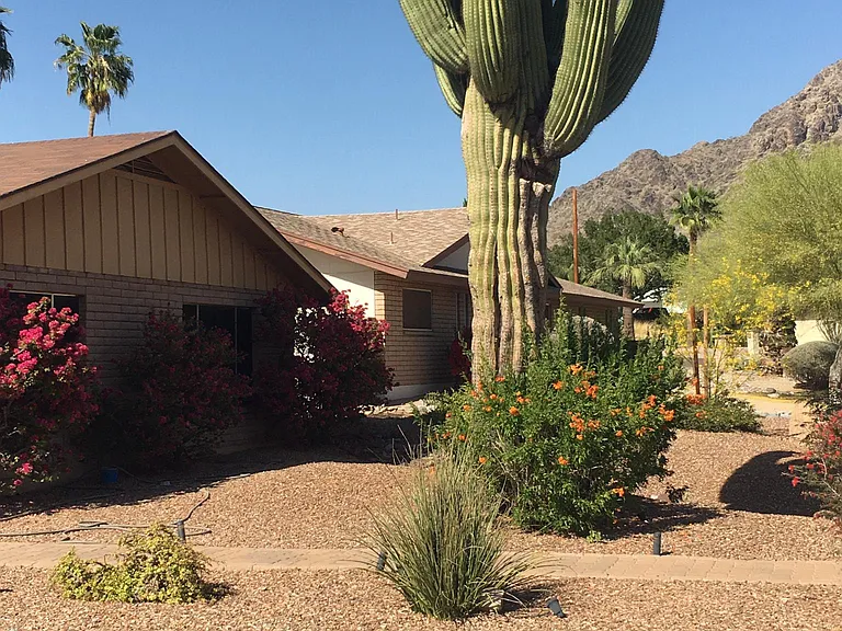 Front yard