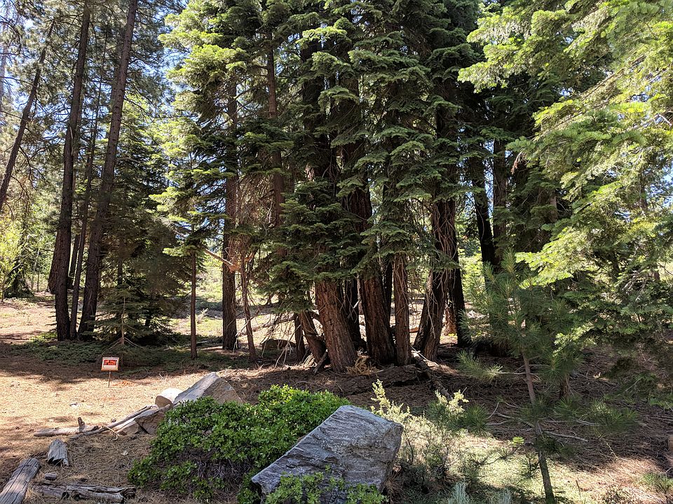 1st image of 10644 Snow Shoe Cir