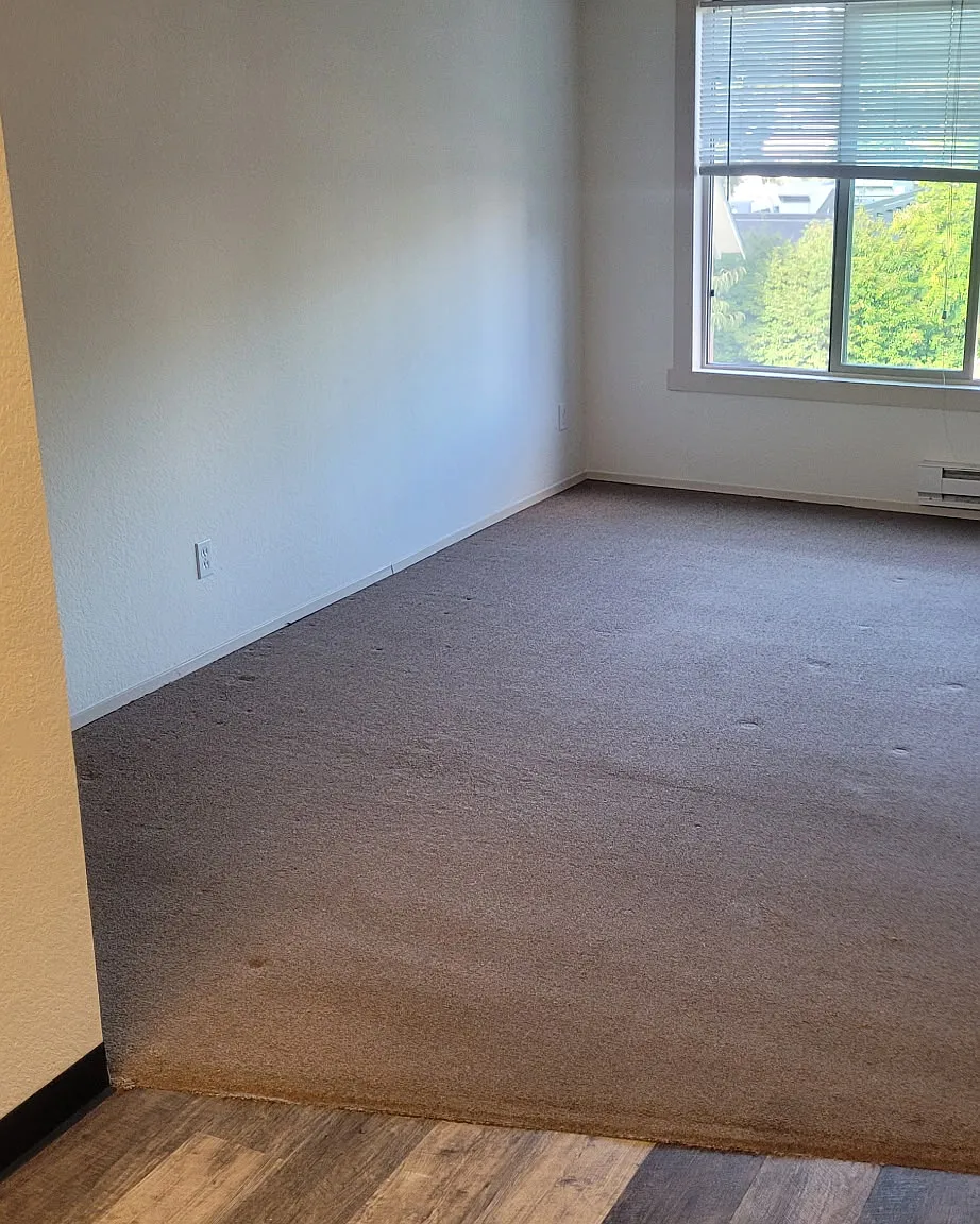Studio, 600 sqft, $1,300 — Photo 3