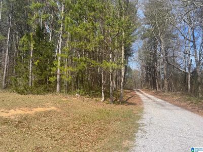 713 Old Mill Loop, Ashland, AL, 36251